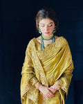 Kinza Hashmi Saree